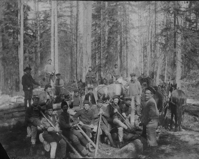 Leduc Logging Expedition