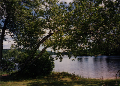 Millen Pond near Cyrus Farnsworth's home