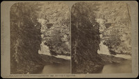 No. 182: The Gorge at Upper Falls