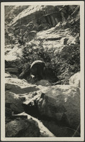Annie Bovee On Rocks At Yosemite