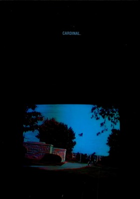 The Cardinal | June 1, 1988