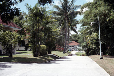 Road leading down to Far Eastern Academy with staff housing on the left