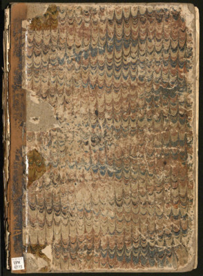 Otsego Adventist Church Record Book, 1861-1879