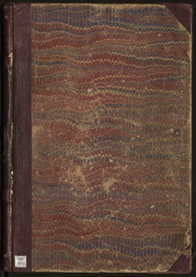 Dodge Center Adventist Church Record Book, 1878-1887