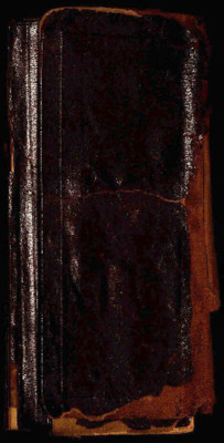 Elder Joel G. Saunders 1898 Diary