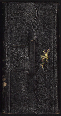 Vesta Olsen's Diary 1890