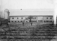 Barn and vineyard at Madison College