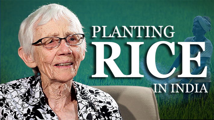 Planting Rice and Hookworm